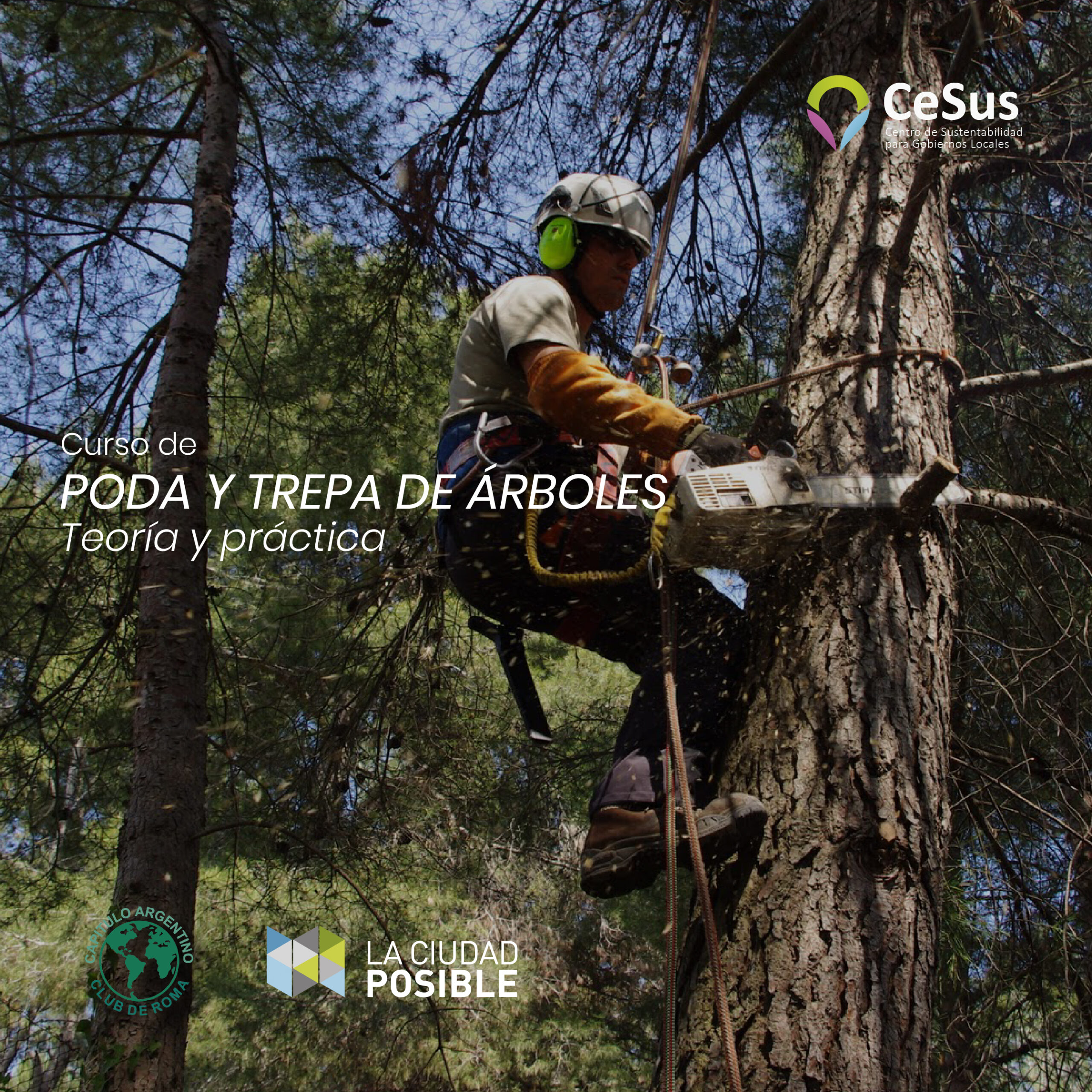 Trepa y Poda de árboles – CeSus