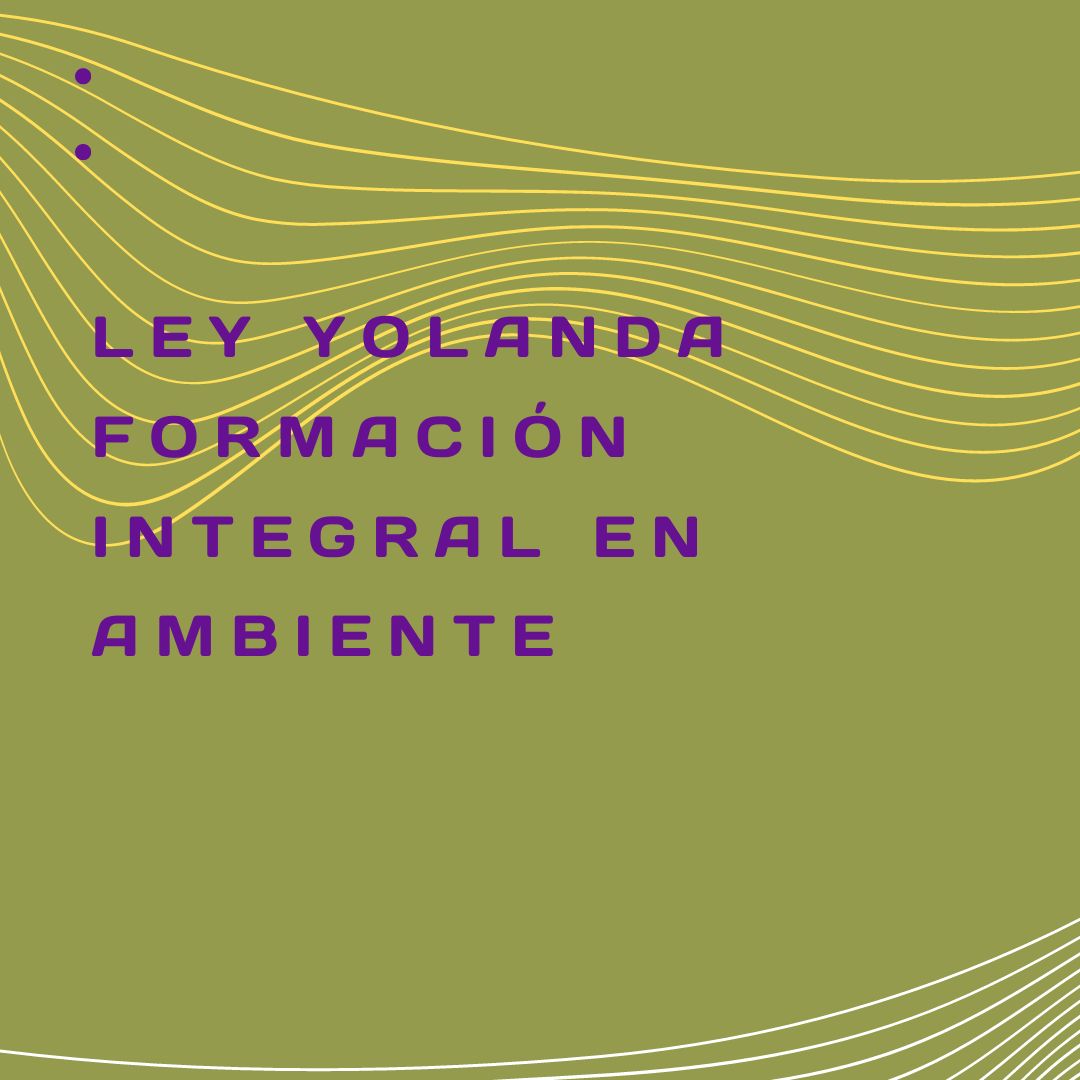 Ley Yolanda, Formación Integral en Ambiente – CeSus